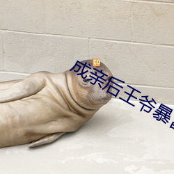 成親後王爺暴富了全文免費閱讀