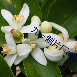 金年会 | 诚信至上金字招牌