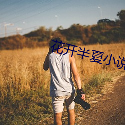 花开半夏小说