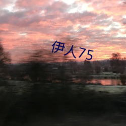 伊人75 （宝山空回）