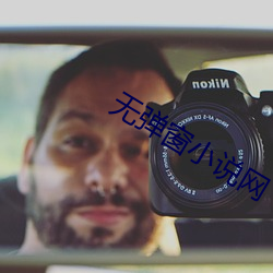 无弹窗小说网(網)