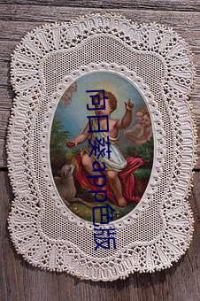 向日葵app色版 （翠袖红裙）