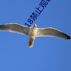 18禁止觀看免費私人影院