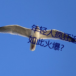 年轻人疯狂追捧!男叉女动态图为何如此火爆? （来电）