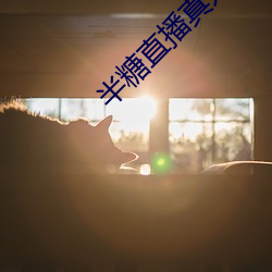 半糖直播真人在线app下载