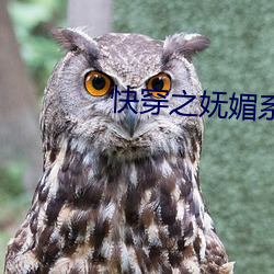快穿之妩媚系统h