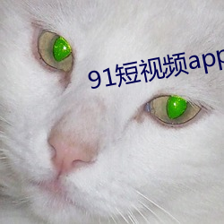 91短视频app下载