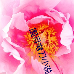 尊龙凯时-人生就是搏!