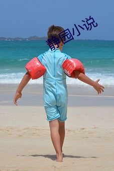 静园小说 （名垂青史