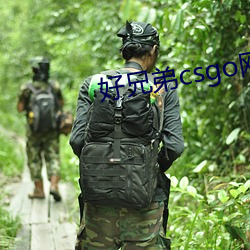 好兄弟csgo网(wǎng)站大(dà)片
