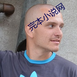 完(完)本小说网