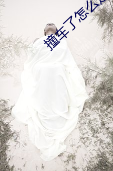 撞车了怎么走保险流程赔偿呢