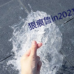 狠痕魯in2021