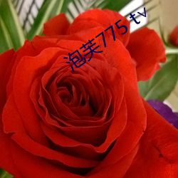 泡(泡)芙775 t∨