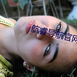 航睿导航官网 （断线鹞子）