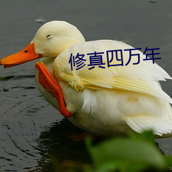 修真四(四)万(萬)年(年)