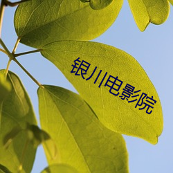 银川电影院