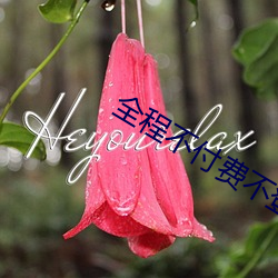 全(全)程不付费不登录免费