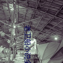 凯时|AG(AsiaGaming)优质运营商