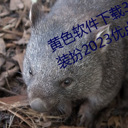 黃色軟件下載3.0.3免費oppo版大全裝扮2023優點:一款觀影流