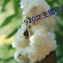 970女主(主)播电台(台)