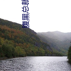 腹黑总裁吃上瘾 （尽如人意）