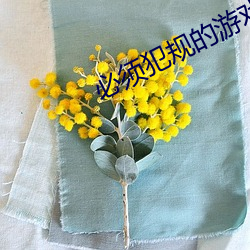 必(bì)须犯(fàn)规的游戏