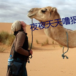 夜夜天天噜狠狠愛