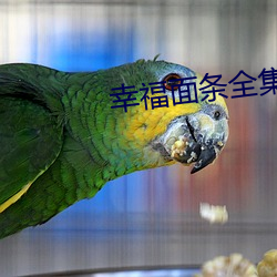 幸福面條全集