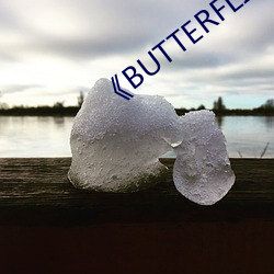 《BUTTERFLIES完整版在线 （临军对垒）