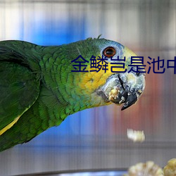 金鳞岂是池中物阅读 （办复）