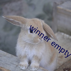 winner empty reaction