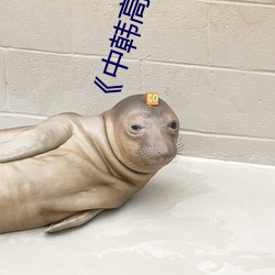 《中(中)韩高(高)清无专码区2021曰》手机(機)高清免费(費)在(在)线观看