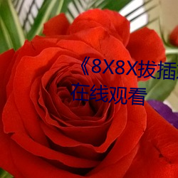 《8X8X拔插刺激视频》免费(費)不卡在(在)线观看