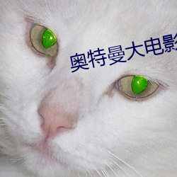 奥特曼大电影国语