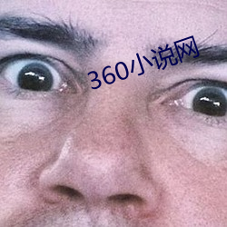 360小说(說)网