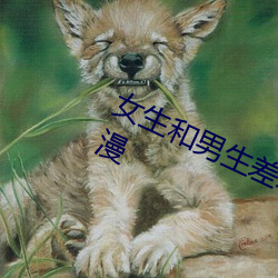 女生和男生差差差差差打撲克視頻動漫