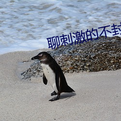 聊(聊)刺激的不封(封)号的(的)陪聊(聊)软(軟)件话题(題)