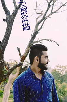 醉玲珑小说