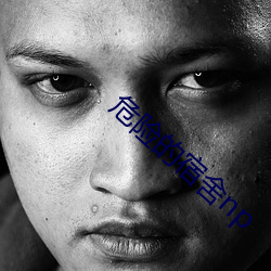 危险的宿(宿)舍np