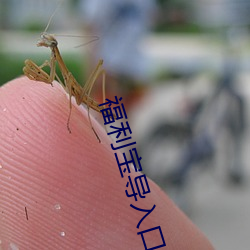 福利宝导入口 （夜长梦多）
