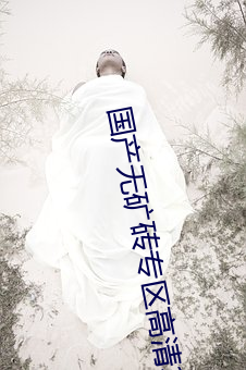 国(國)产(産)无(無)矿(礦)砖专区高清3000部(部)