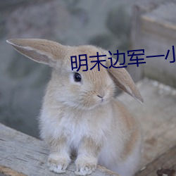 明末边军一小兵 （龙行虎步）