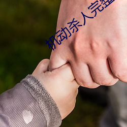 机动杀人完整版 （花红柳绿）