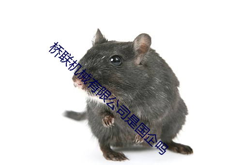 桥联机械有限公司是国企吗