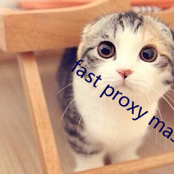 fast proxy master