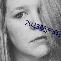 2023国产麻豆剧果冻传媒入口