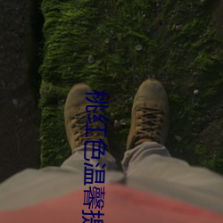 桃红色温馨提示请使用谷歌v1.0.3 （背弃）