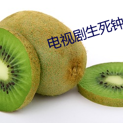 电视剧生死钟声