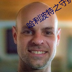 哈利(利)波特之守(守)护